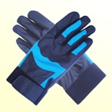 Sports glove